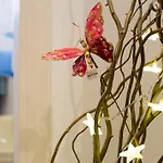 Romantic Ciclamini House Апартаменты *